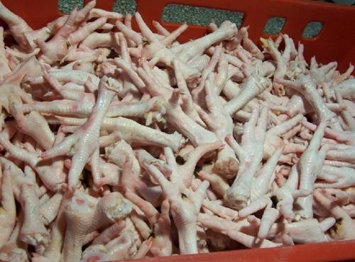 雞副產(chǎn)品-鴨副產(chǎn)品-豬副產(chǎn)品_青島信實(shí)冷凍食品
