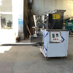 【家用小型水餃機(jī)中餐廳用速凍餃子生產(chǎn)加工設(shè)備花邊餃子】- 